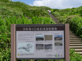 白亜紀浅海堆積物の看板（犬吠埼）