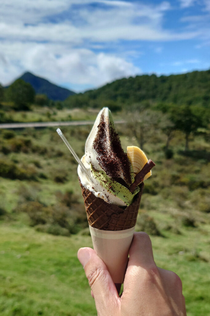 ソフトクリーム(赤城山総合観光案内所)