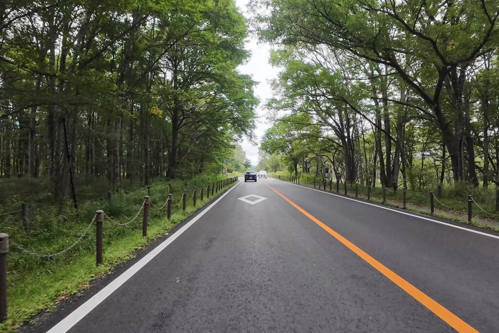 日光市中宮祠付近(国道120号線)