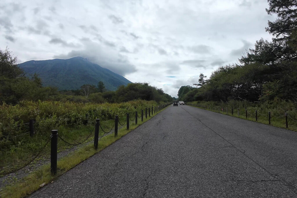 戦場ヶ原付近(国道120号線)