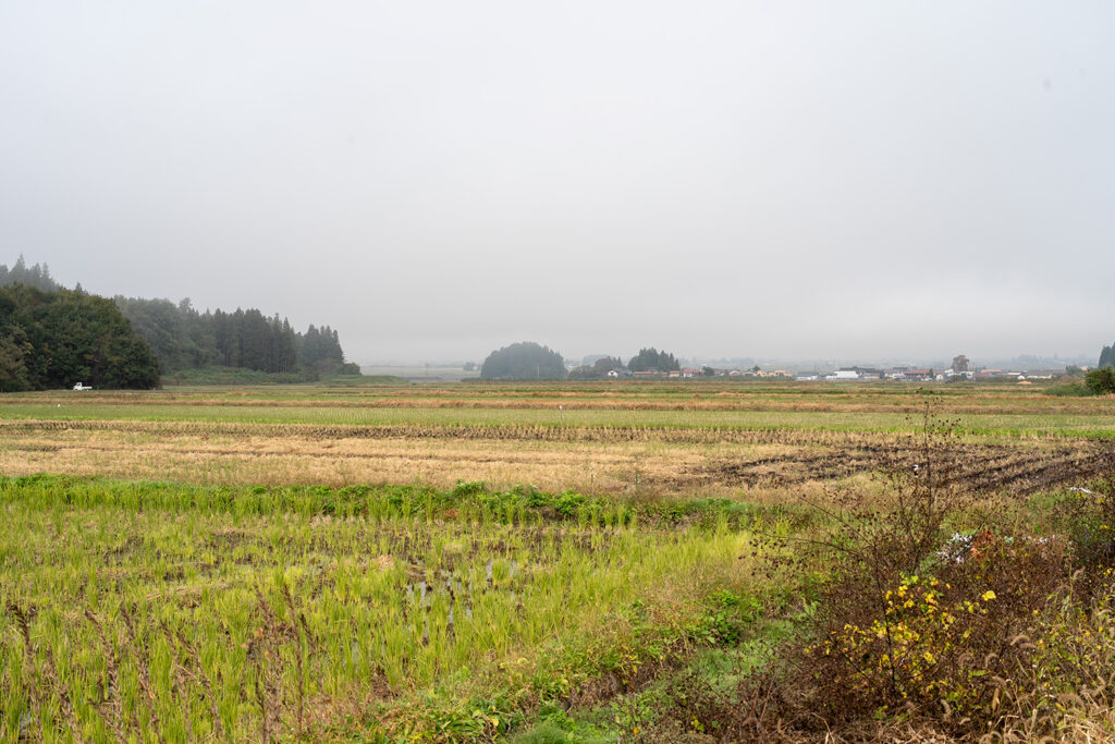 雲海の中(県道131号線)