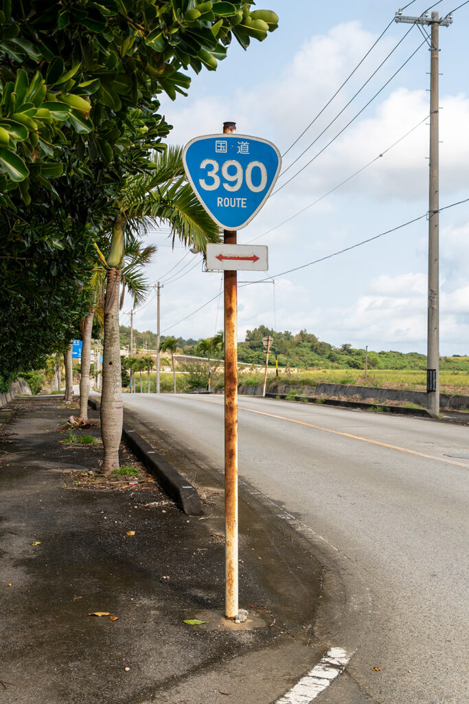 国道390号線