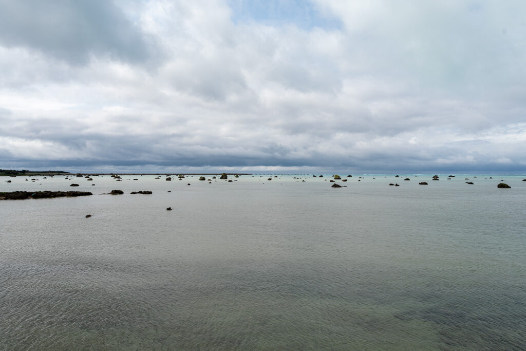 全景（佐和田の浜展望台）