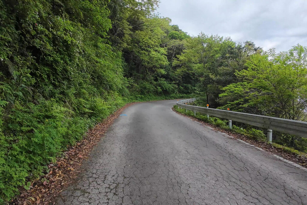 井田（県道17号）