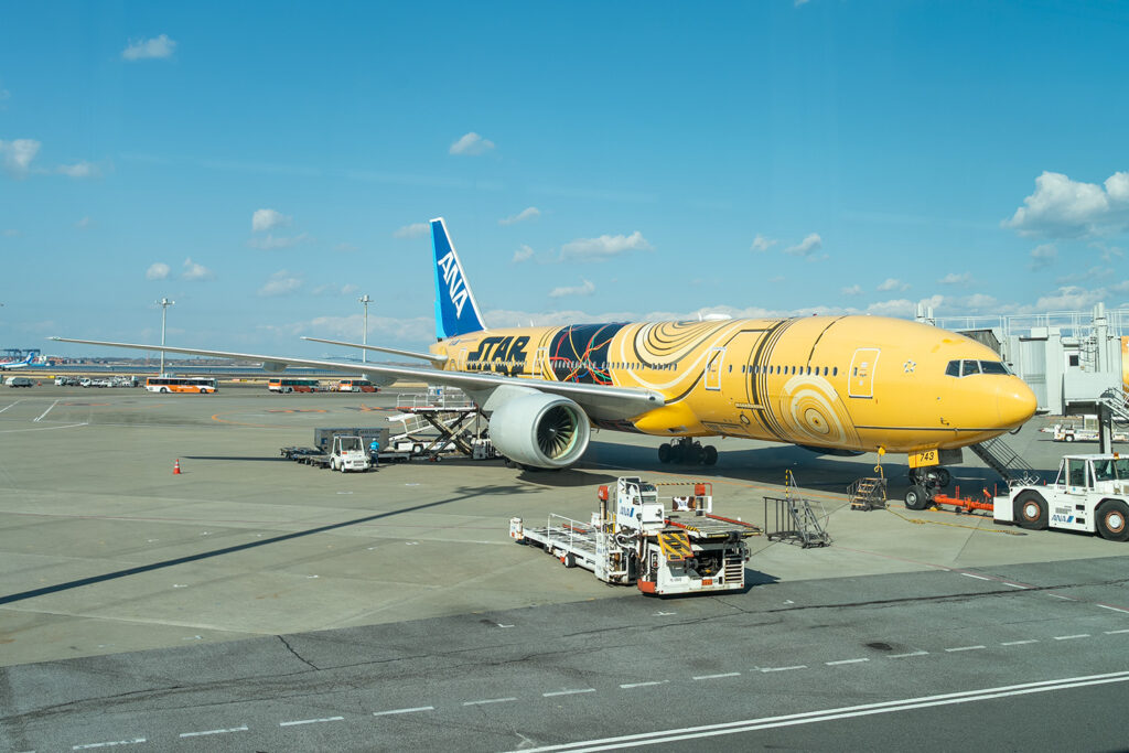 駐機中の特別塗装機