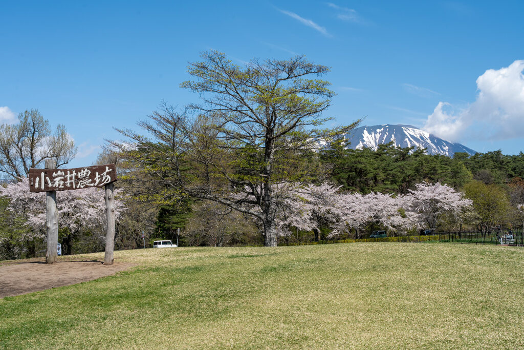 園内②（小岩井農場）