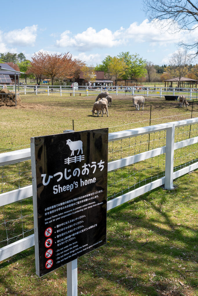 ひつじのおうち（小岩井農場）