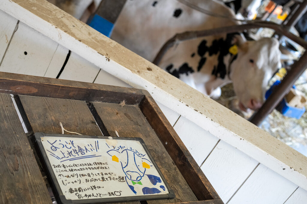 あーちゃん（小岩井農場上丸牛舎）