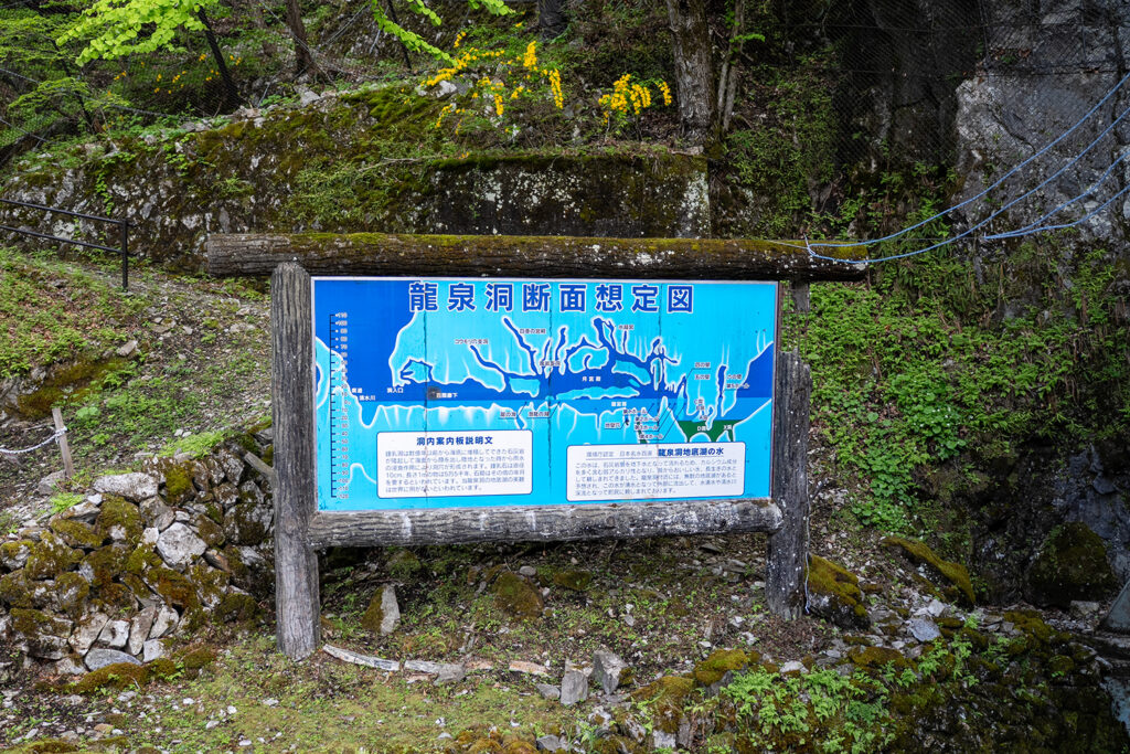 断面想定図（龍泉洞）