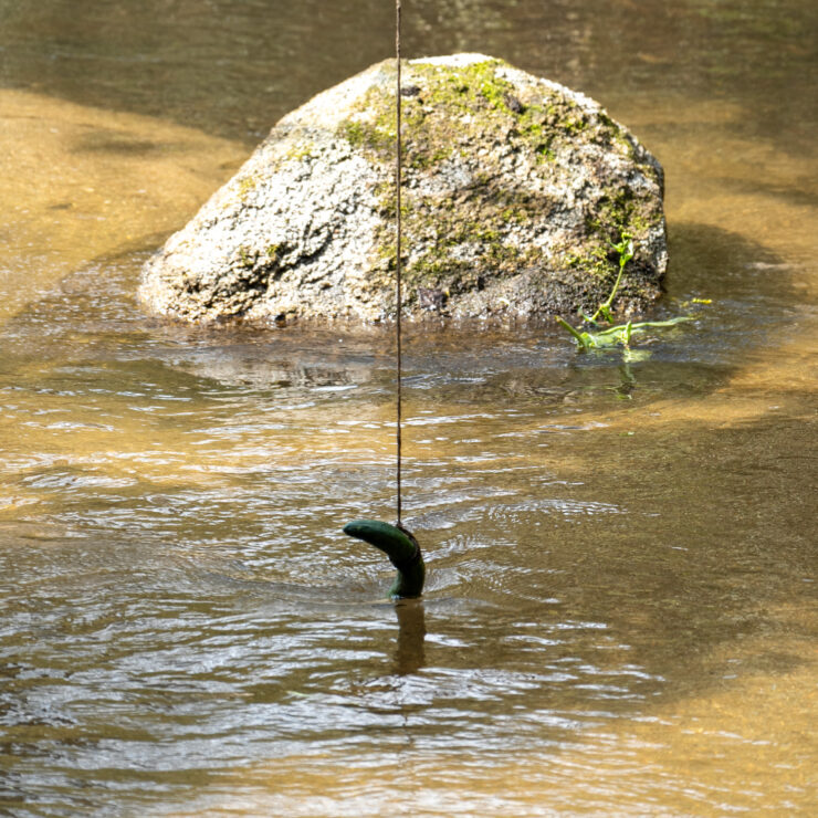 かっぱ淵のきゅうり