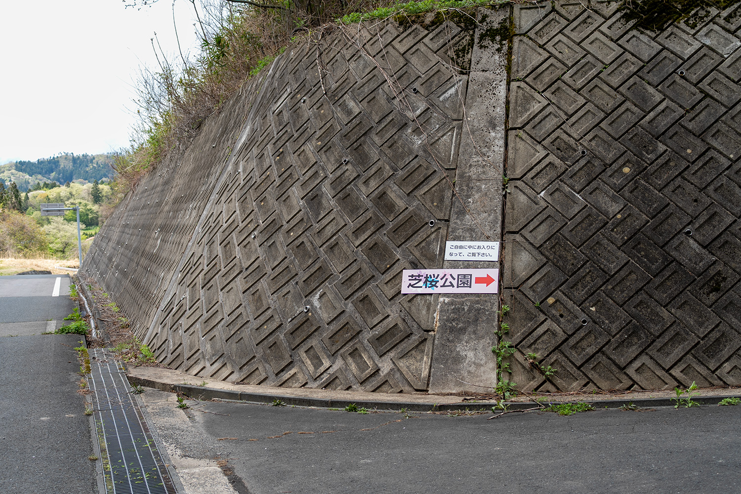入口(芝桜公園)
