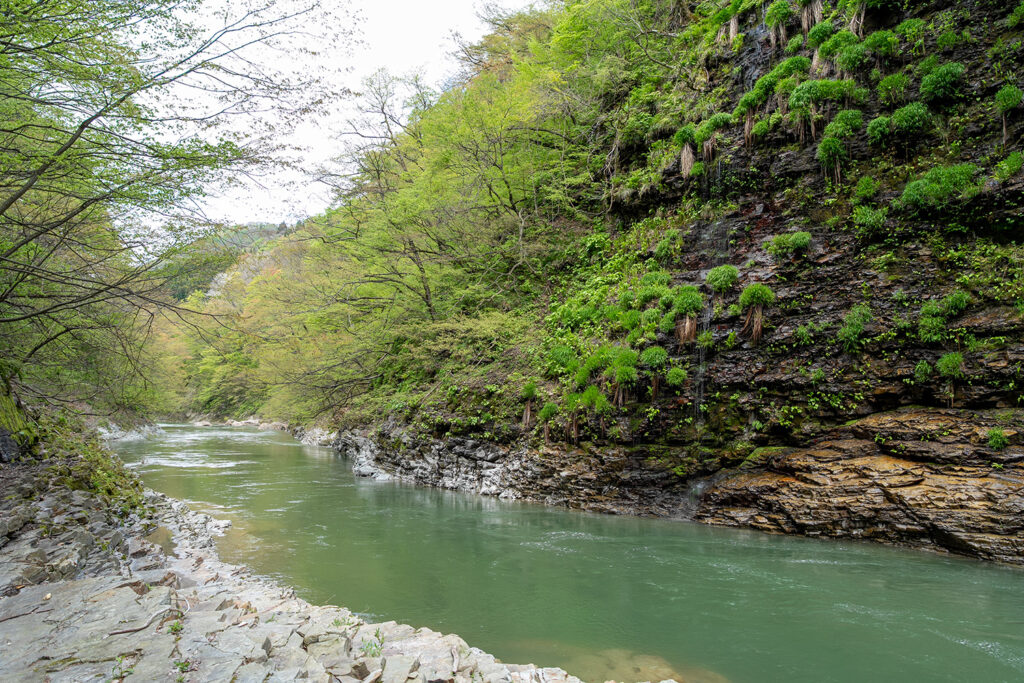 皆瀬川(小安峡)