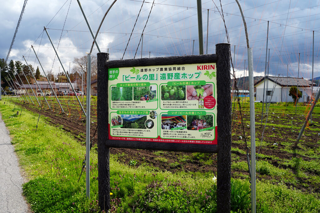ホップ農園