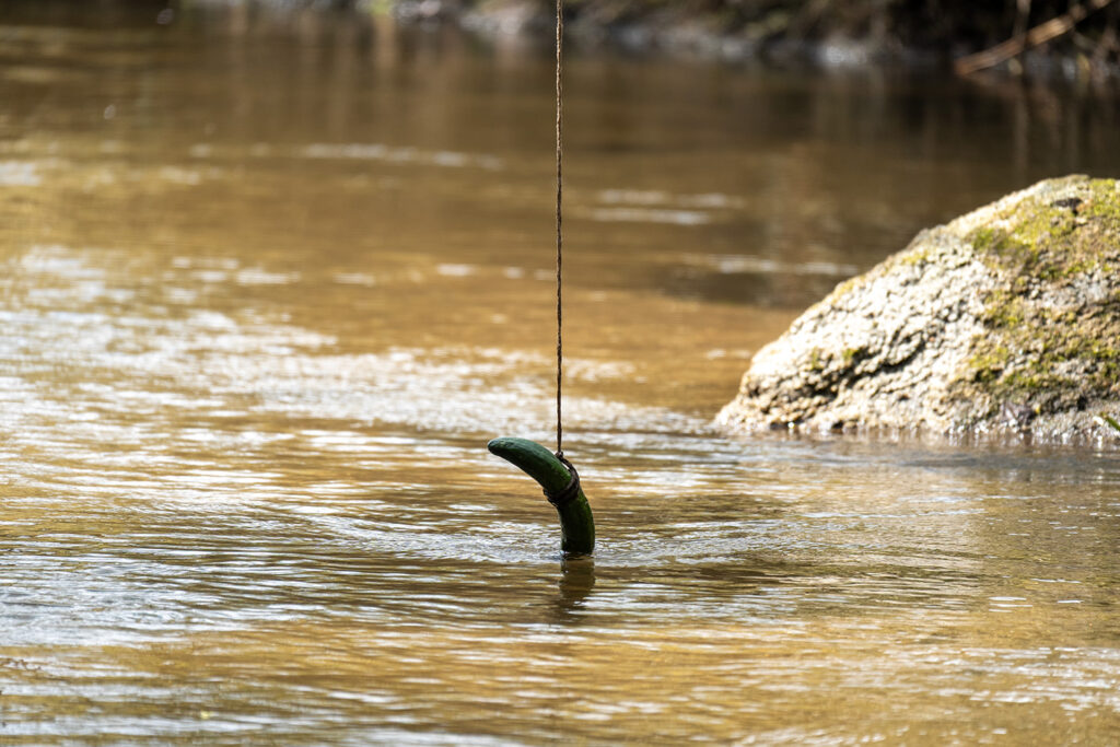 きゅうり(カッパ淵)