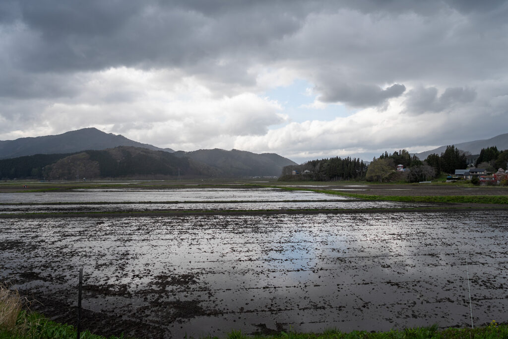 田んぼ
