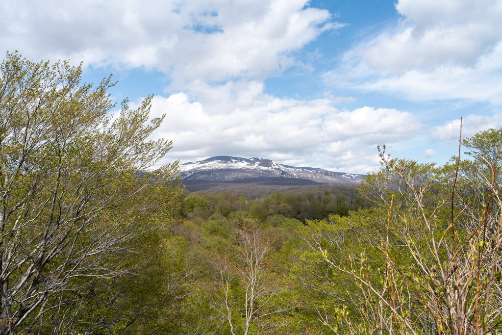 栗駒山