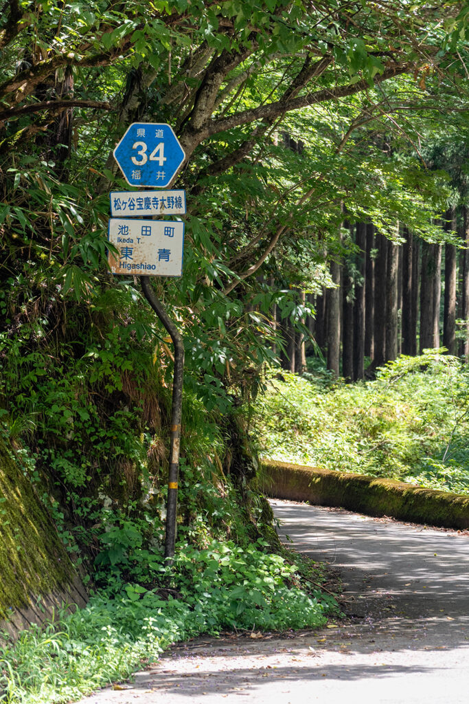 龍双ヶ滝付近(県道34号線)