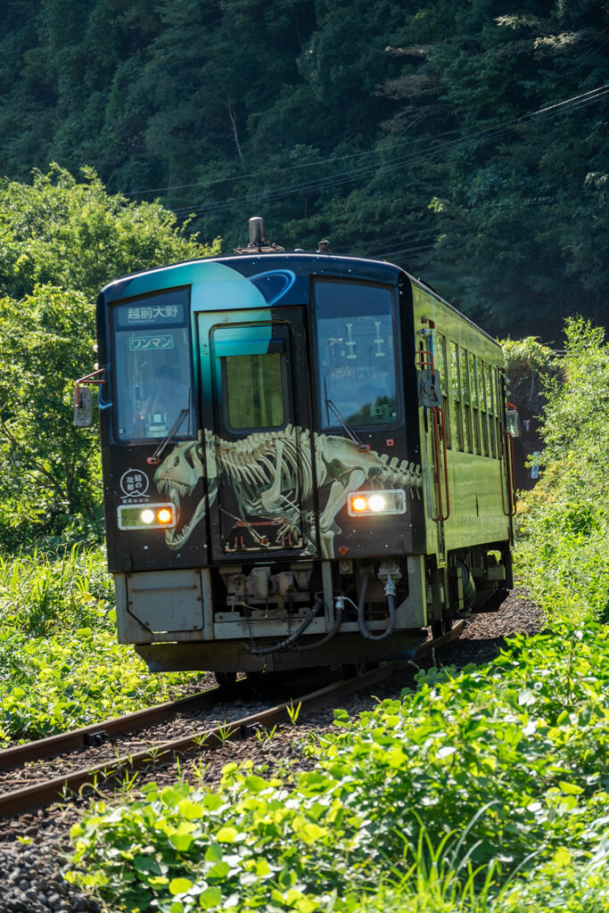 ディノスター号(越美北線)