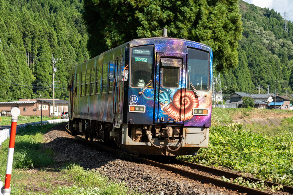 ディノスター号(越美北線)