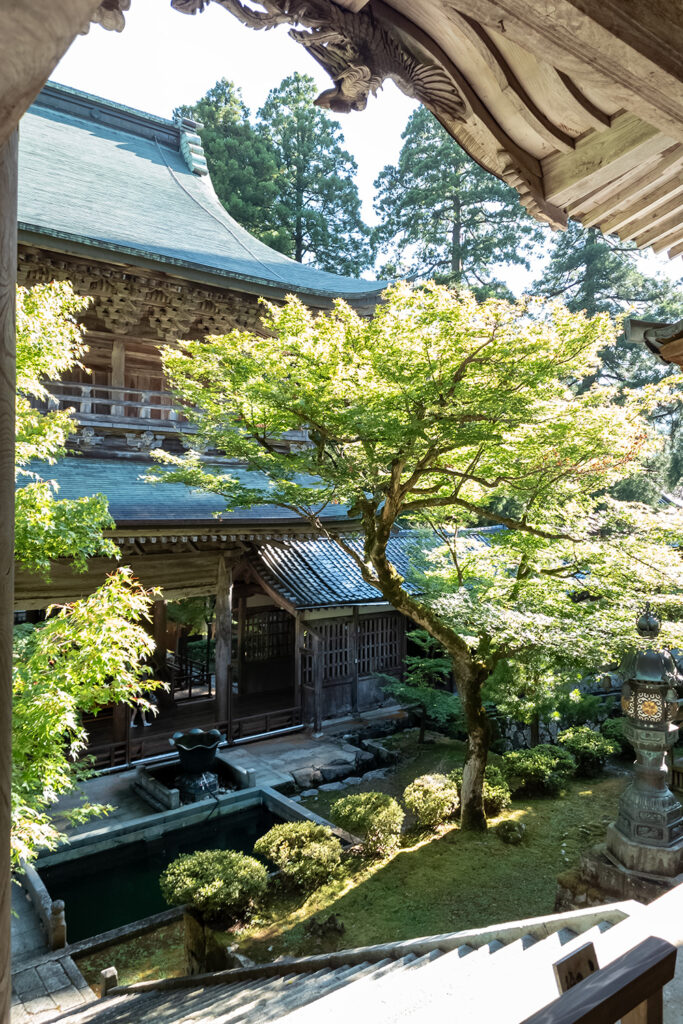 中雀門からの山門(永平寺)