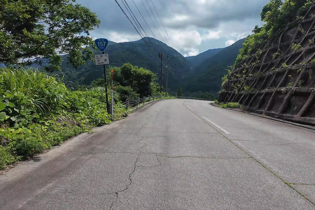 大野市中島付近(国道157号線)
